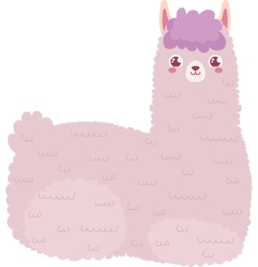 Beyaz üzerine tatlı mor lama