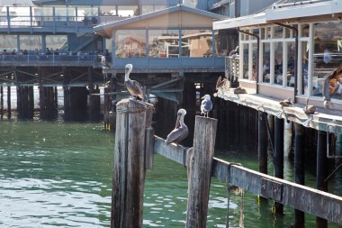 Fisherman s Wharf, San Francisco clipart