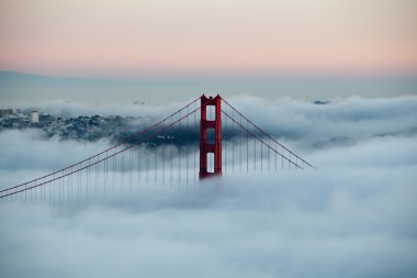 sis san francisco golden gate Köprüsü
