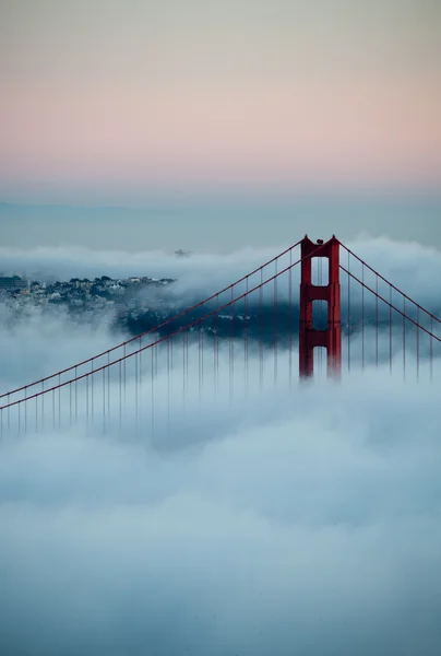 San francisco most grunwaldzki we mgle — Zdjęcie stockowe