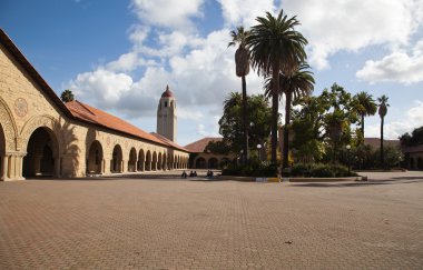 Stanford Üniversitesi, california