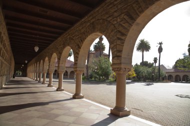 Stanford Üniversitesi, california