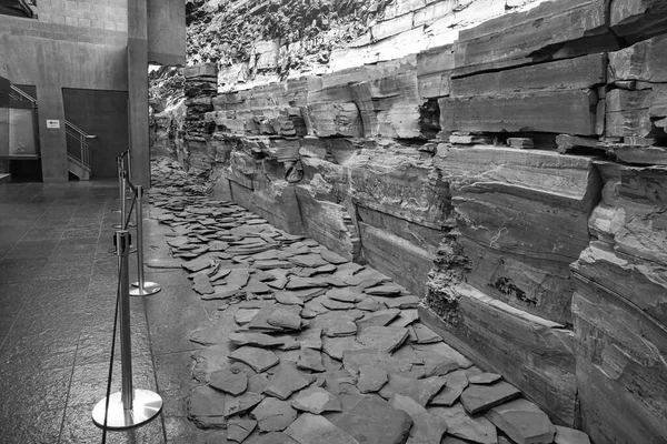 Museo Fósil Almejas Dotternhausen Alemania Artefacto Antiguo Conchas Petrificadas — Foto de Stock