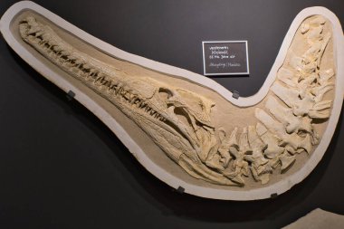 Dotternhausen, Almanya, Avrupa 'daki Güzel Kristal Müzesi