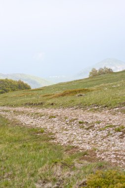 bir Dağı'nda Kırım'dan göster