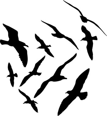 las gaviotas vector siluetas, conjunto de 25