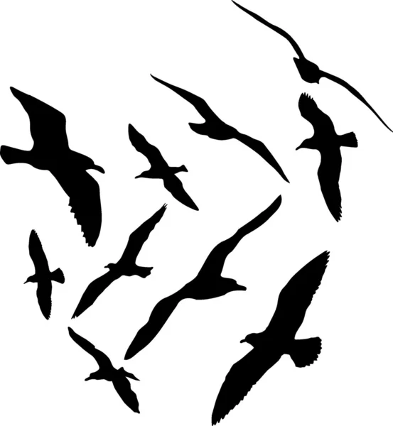 Seagull silhouetten vectorillustratie, set van tien — Stockvector