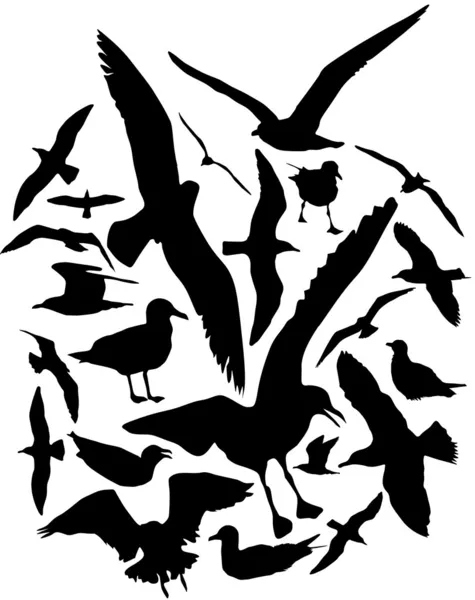 Gaviotas siluetas vectoriales, conjunto de 25 — Archivo Imágenes Vectoriales