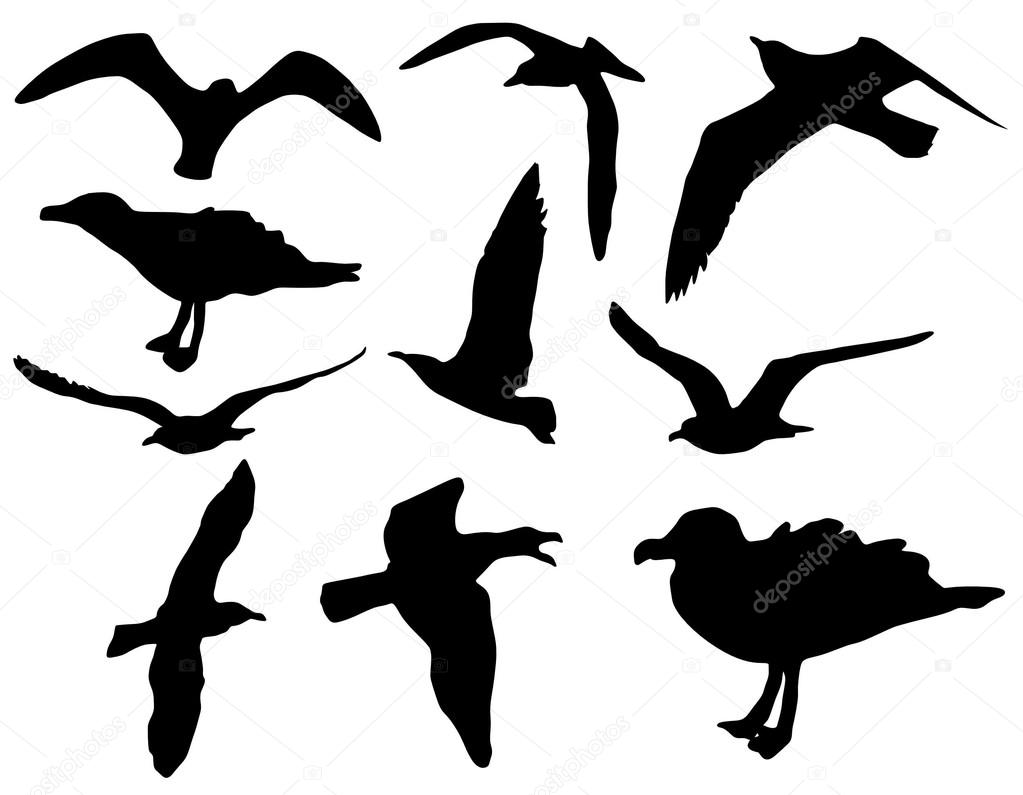 Seagull vector silhouettes, set of nine