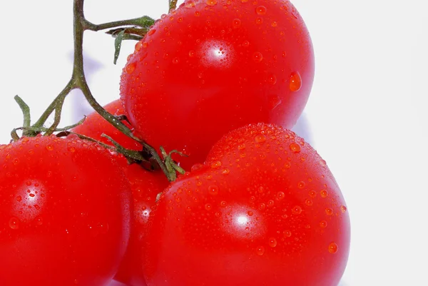 Tomato with drops close — Stock Photo, Image
