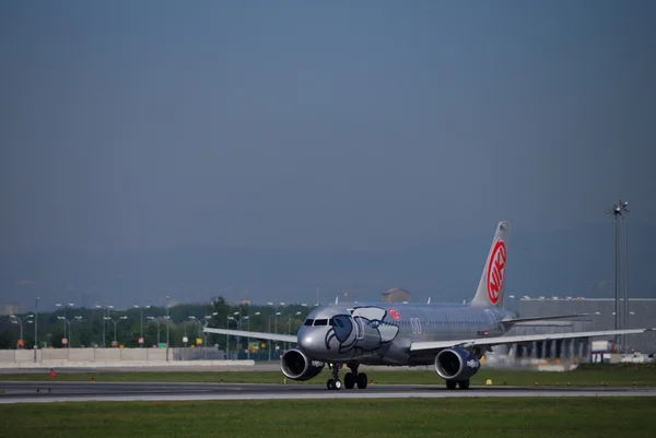 Fly nikki before start — Stock Photo, Image