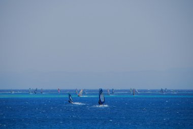 Deniz ve sörfçü ufukta