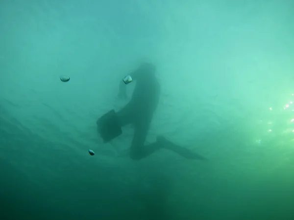 무료 최대 다이빙 — 스톡 사진