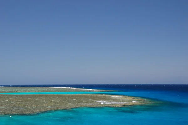 Arrecife de coral en Egipto — Foto de Stock