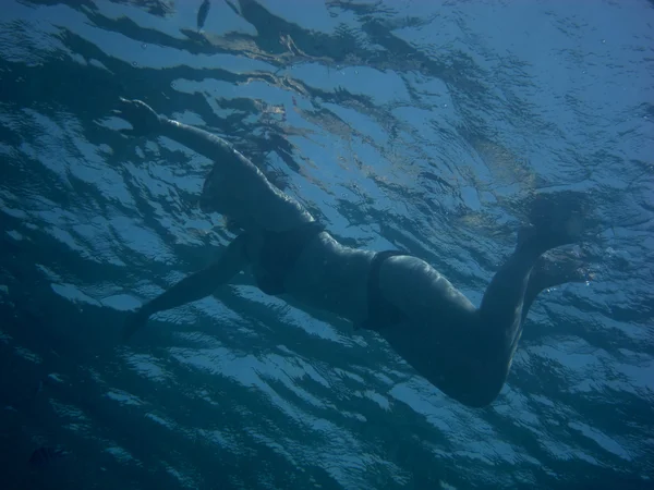 Woman in swimming — Stock Photo, Image