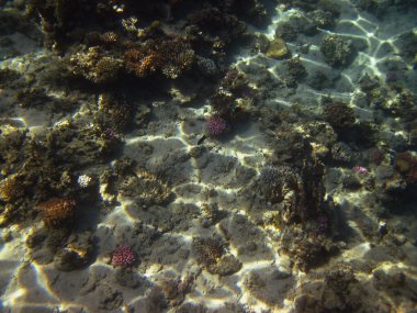 Deniz yatağı üzerinde yansıma