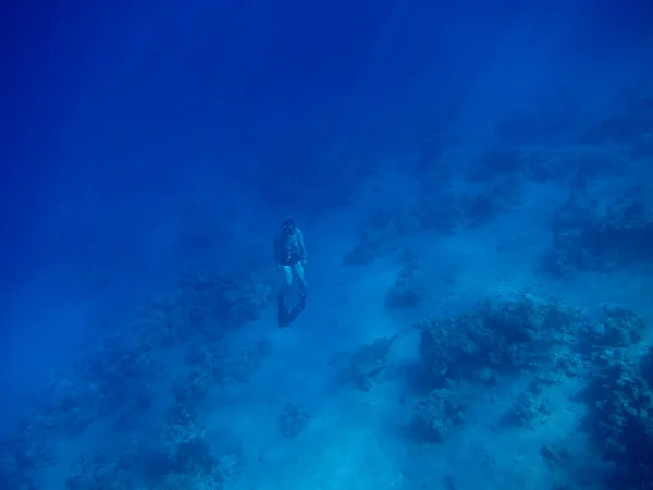 免费潜水员在深海中 — 图库照片