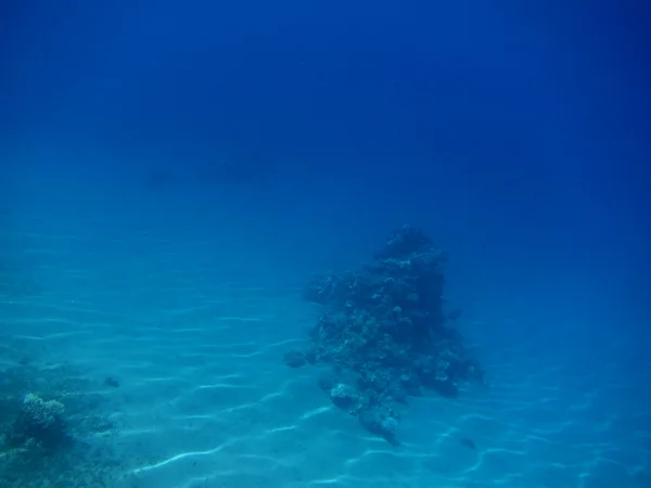 Mavi deniz — Stok fotoğraf