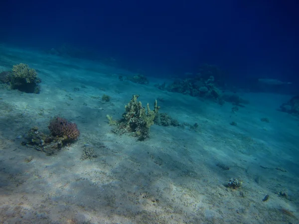 Песок земля красное море — стоковое фото