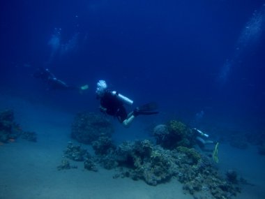 red Sea Diver