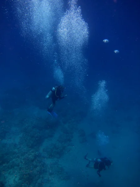 Mergulhador fazer bolhas — Fotografia de Stock