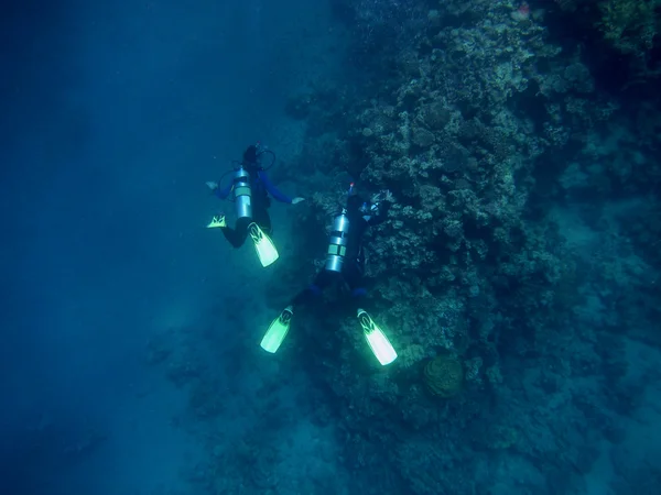 Два глубоководных водолаза — стоковое фото