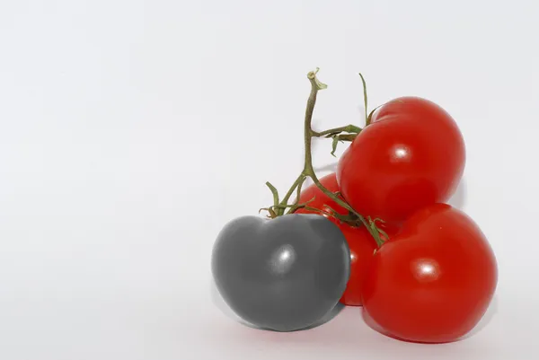 Gray tomato — Stock Photo, Image