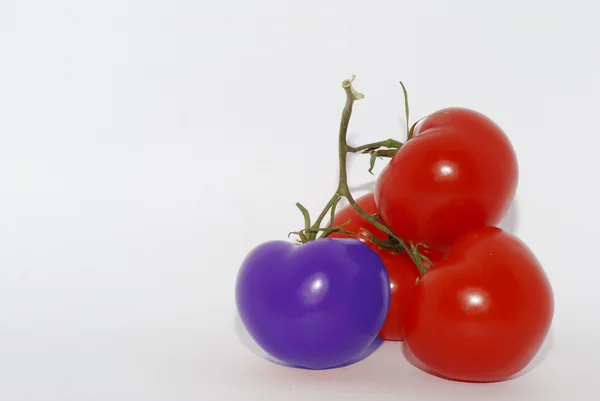 Purple tomato — Stock Photo, Image
