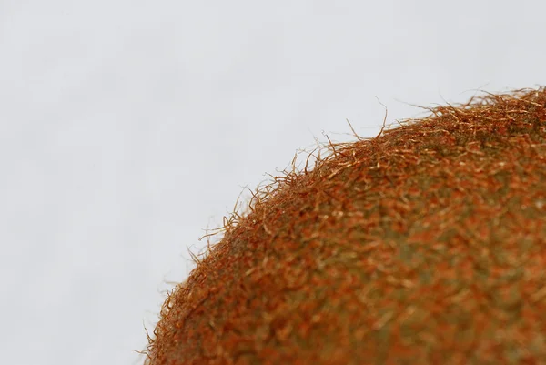 Pelo de un kiwi —  Fotos de Stock