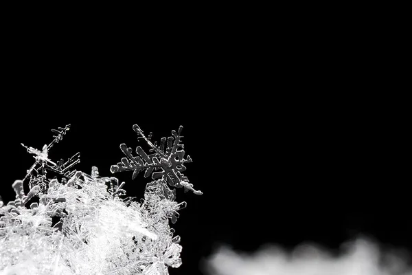 Sněhové krystaly velké na černém pozadí — Stock fotografie