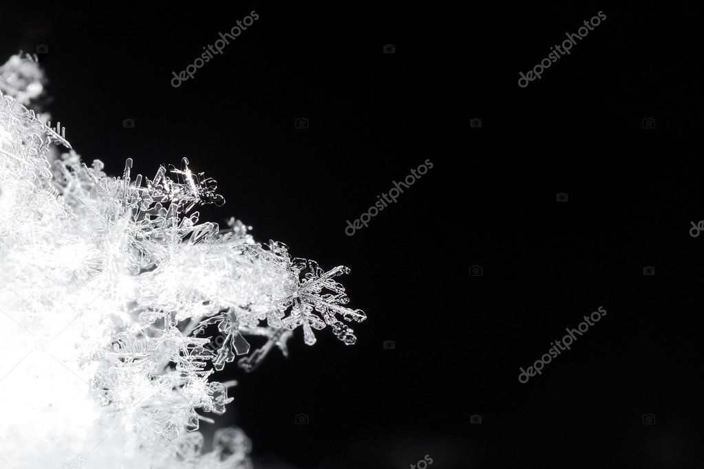 snow crystals on black