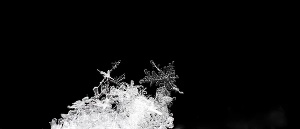Cristais de neve no panorama preto — Fotografia de Stock