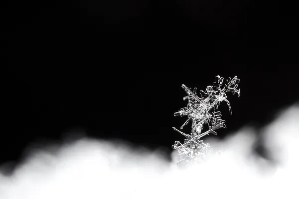 Sněhové krystaly detail — Stock fotografie