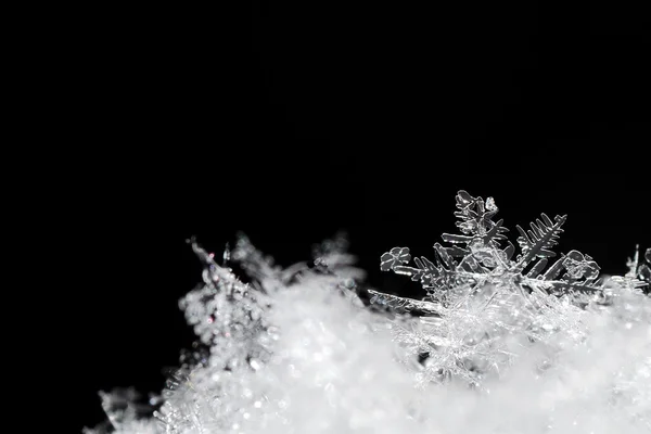 Crystal flower in the snow big view — Stock Photo, Image