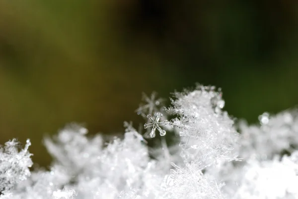 Piccoli cristalli di neve — Foto Stock