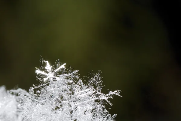 明亮雪晶体大视图 — 图库照片