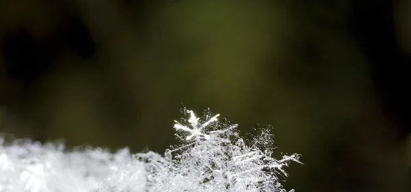 Parlak kar kristalleri panorama — Stok fotoğraf