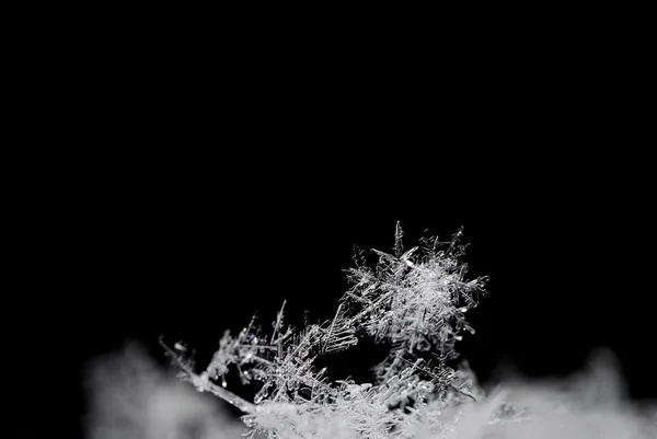 Wiele kryształów śniegu na czarny — Zdjęcie stockowe