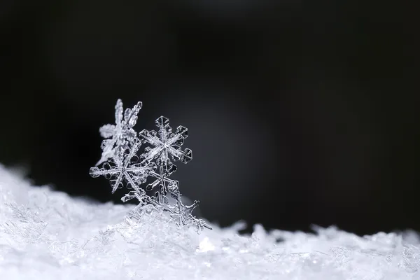 Krásné sněhové krystaly — Stock fotografie