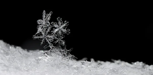 Cristaux de neige panorama sur noir — Photo