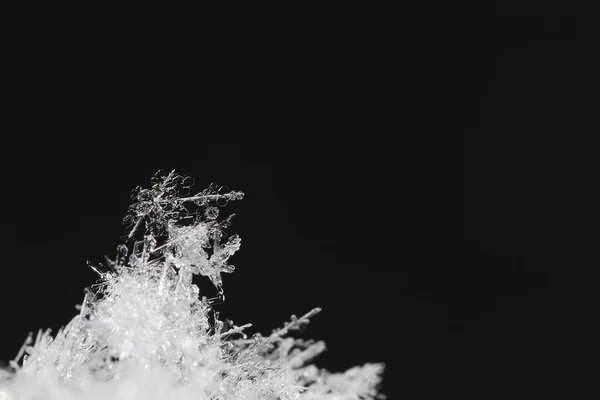 Unequal snow crystals — Stock Photo, Image