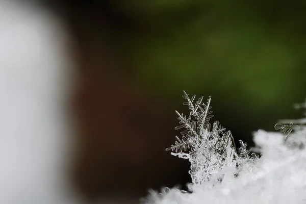 Kryształy śniegu w widoku duży śnieg — Zdjęcie stockowe