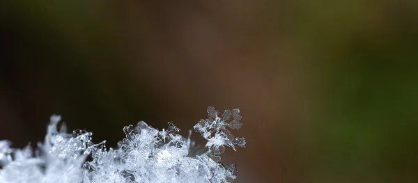 Enskilda snow crystal färgglada panorama — Stockfoto