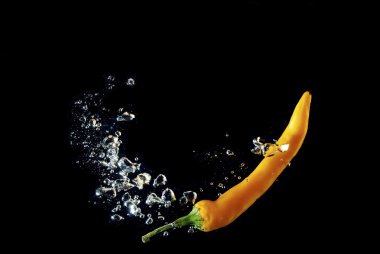 Siyah üstüne sarı biber kabarcıklar