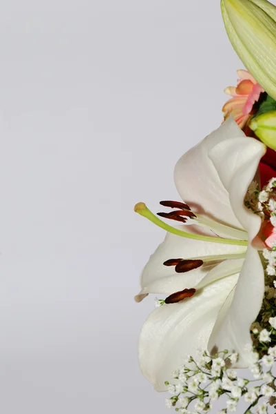 Bouquet portrait right on white — Stock Photo, Image