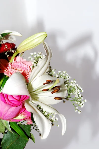 Bouquet on white with shadow portrait — Stock Photo, Image