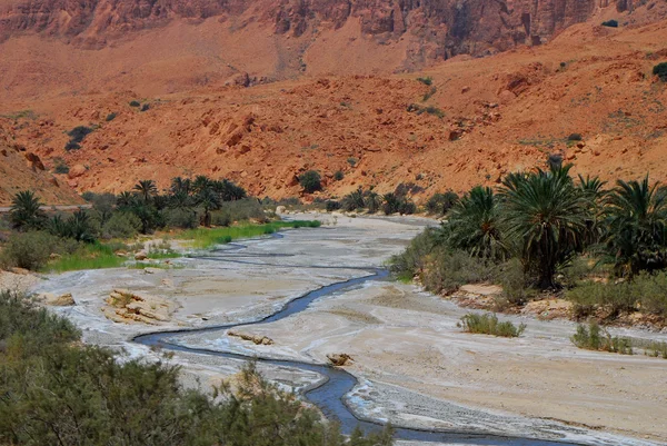 Ποταμός στην έρημο — Φωτογραφία Αρχείου