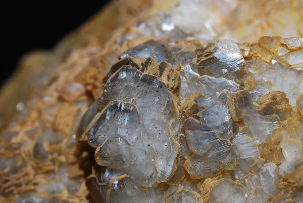 Minerales flores de calcita —  Fotos de Stock