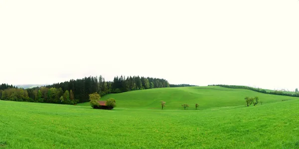 Paesaggio verde panorama — Foto Stock