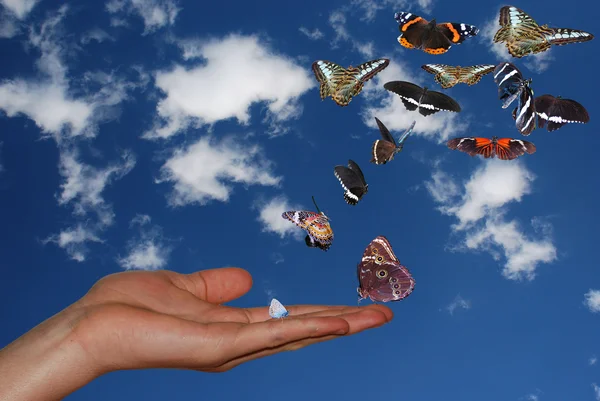 Mano con el cielo y muchas mariposas — Foto de Stock
